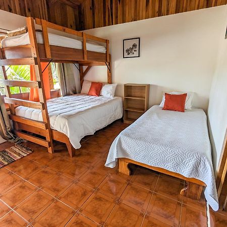 El Nido Lodge モンテベルデ エクステリア 写真